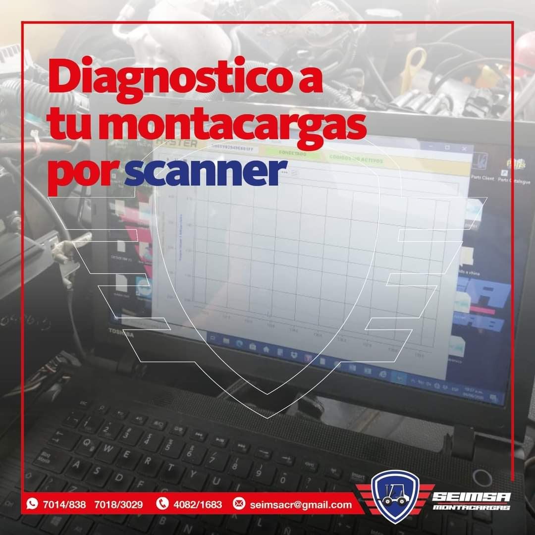 Servicio profesional